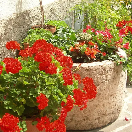 Albergo Centrale San Zeno di Montagna