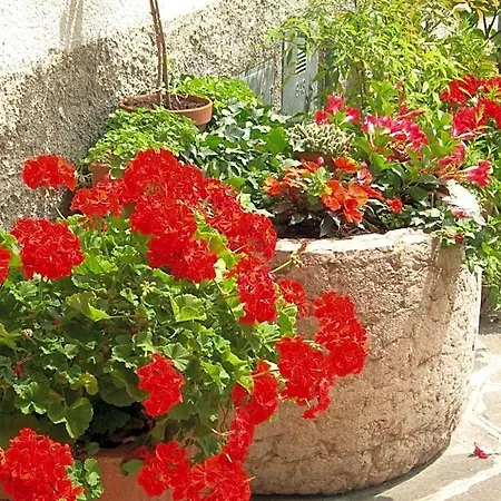 Albergo Centrale 2* San Zeno di Montagna