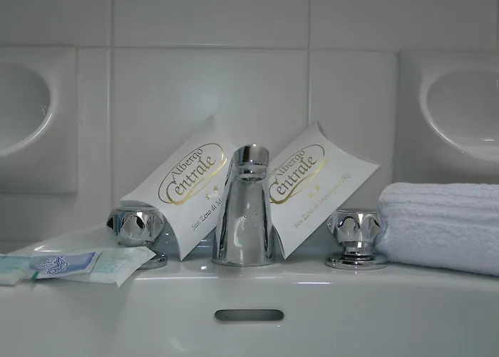 Albergo Centrale Otel 2*