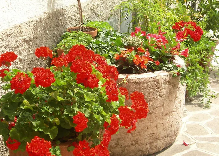 Albergo Centrale San Zeno di Montagna